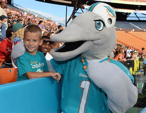 Did the dolphins ever have a live mascot